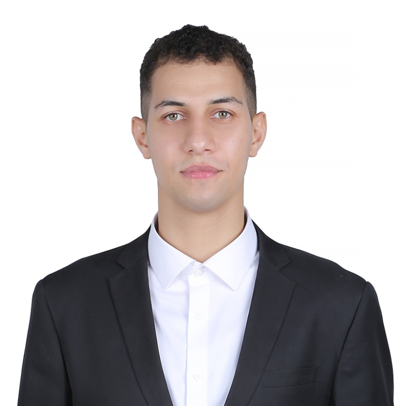 Hesham Agina